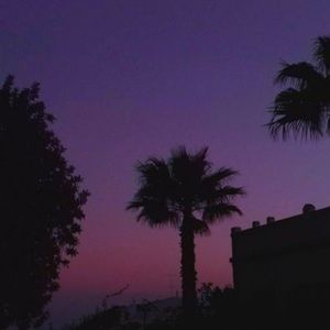 Meet your Posher, Dan